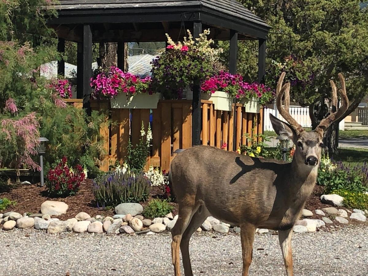 Piccadilly Motel Radium Hot Springs Luaran gambar