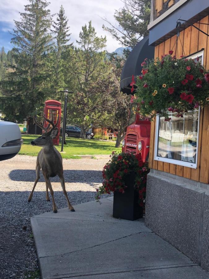 Piccadilly Motel Radium Hot Springs Luaran gambar